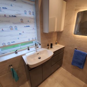 Sink and Vanity Area