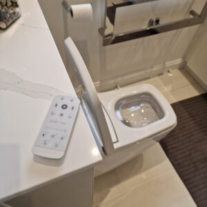 toilet-and-mood-lights-remote toilet and mood lights remote in modern ensuite