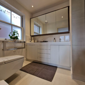 cabinet-mirror cabinet mirror