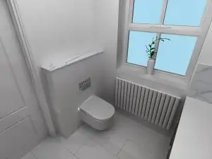Small Ensuite Toilet